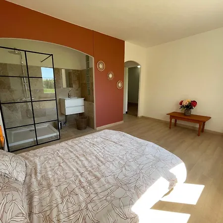 Maison De Caractere Avec Jardin